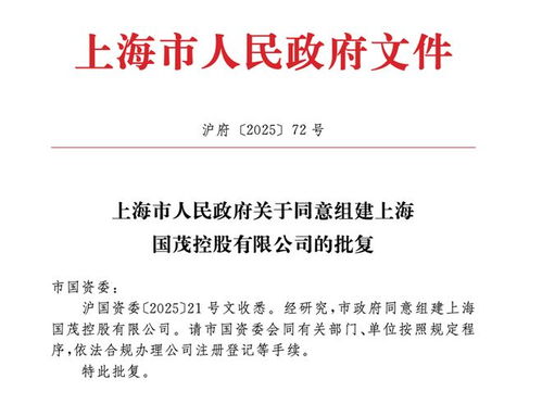 上海市政府批準(zhǔn)成立注冊資本130億元新國企，聚焦計(jì)算機(jī)軟硬件技術(shù)研發(fā)